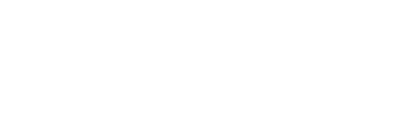 Stancona Store