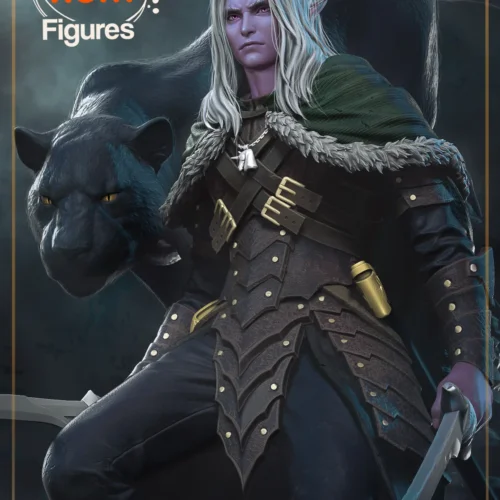 Drizzt Do'Urden - Baldurs Gate