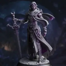 Ilnia Vasrith – Paladin of the Moon’s Sanctum