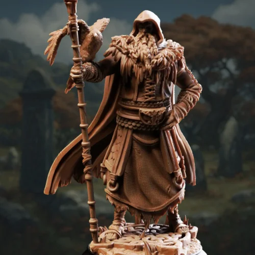 The One Eyed Wanderer