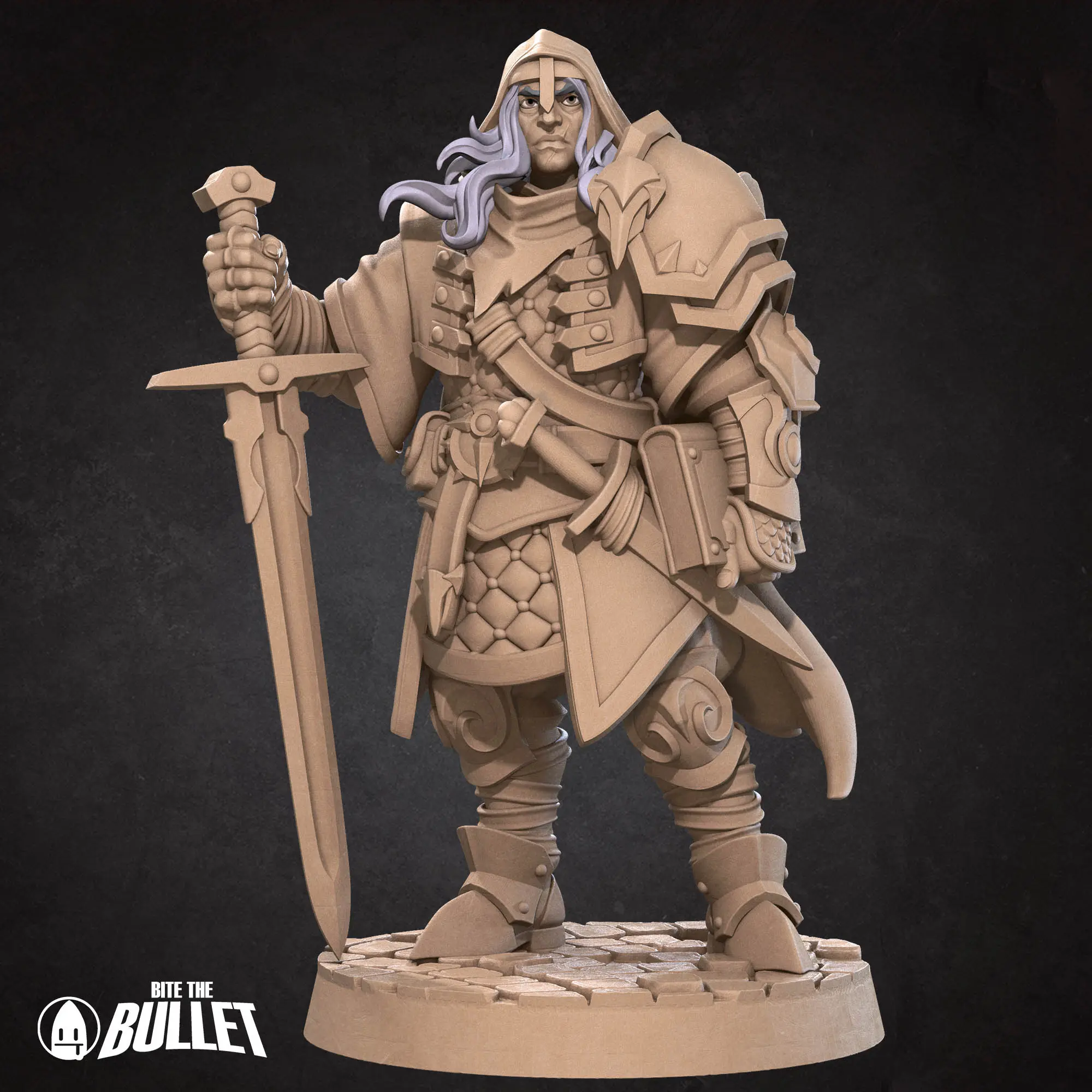 Human Paladin - Görsel 2