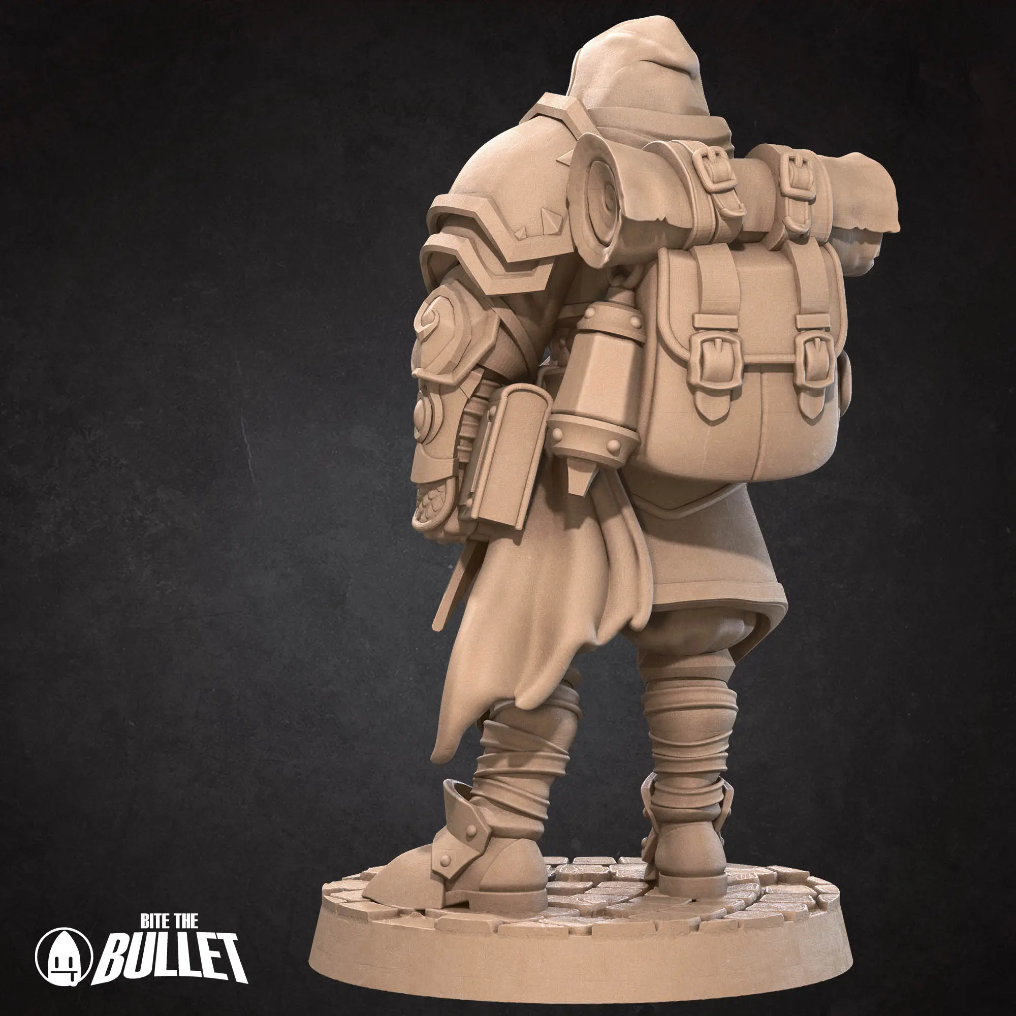 Human Paladin - Görsel 5