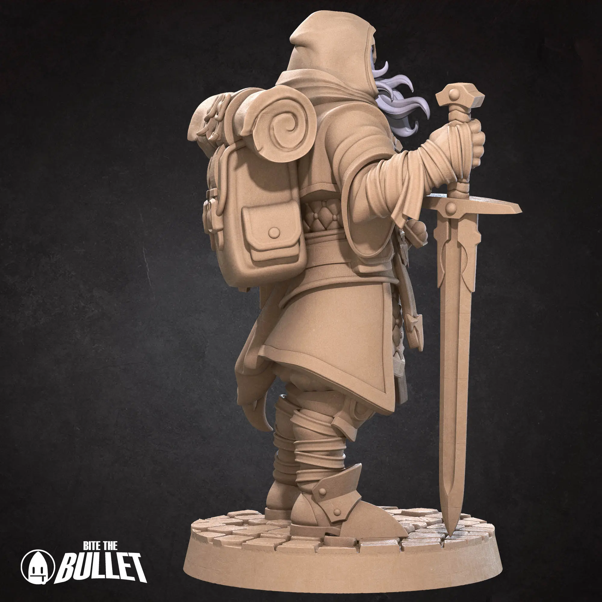 Human Paladin - Görsel 6