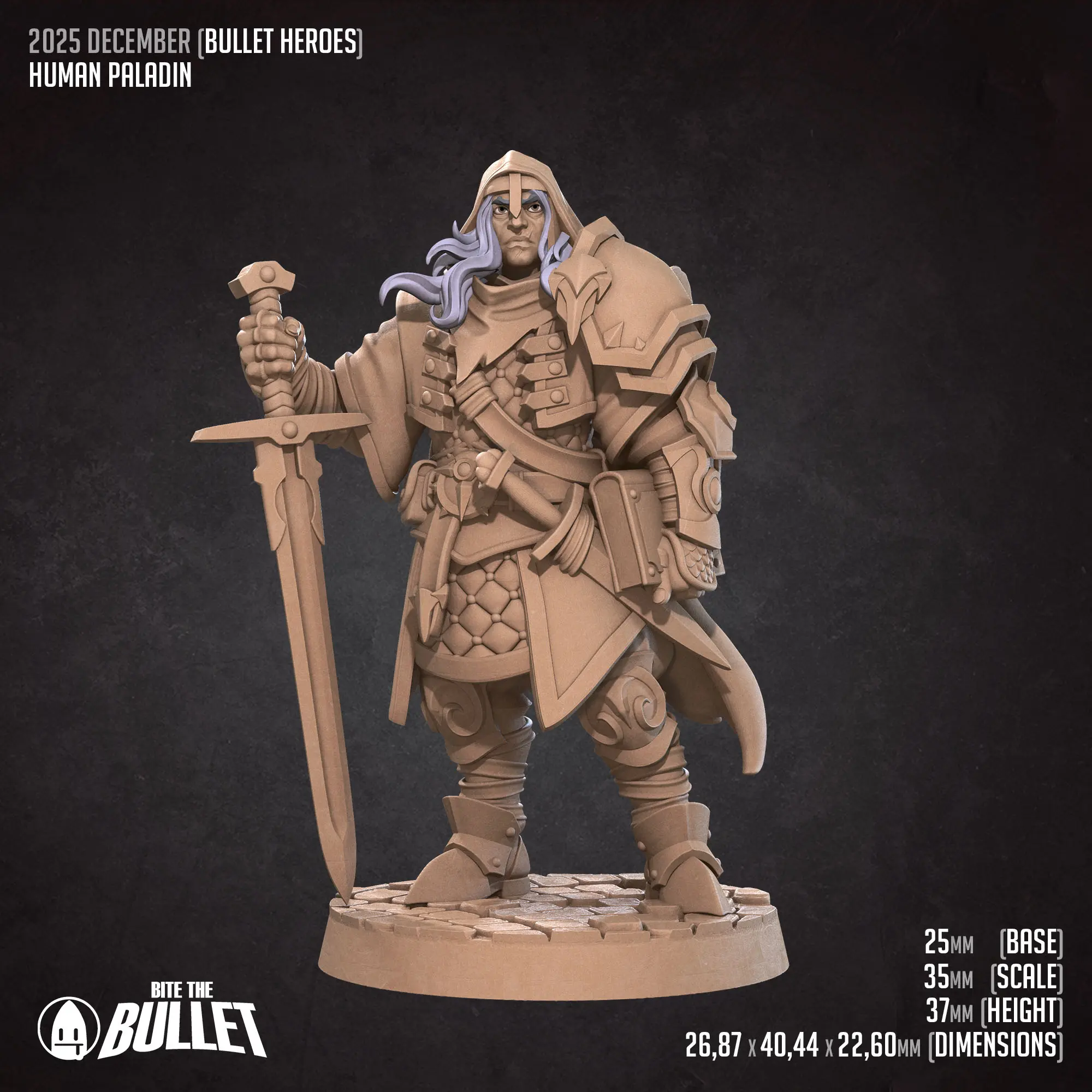 Human Paladin - Görsel 7